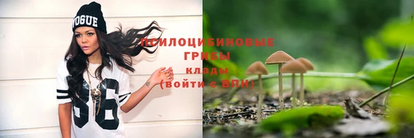 молекула духа Волоколамск