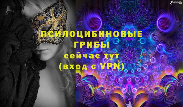 молекула духа Волоколамск